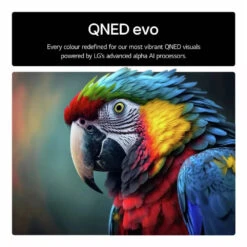 LG 50QNED87A6D 50 Inch QNED EVO 4K UHD HDR SmartTV(50qned87a6d Lg 50qned87a6d 50 Inch Qned Evo 4k Uhd Hdr Smart Tv) -Digiland Shop LG 50QNED87A6D 50 inch QNED EVO 4K UHD HDR Smart TV LG 256584763