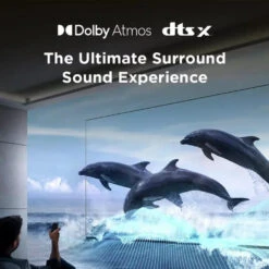 TCL 43T6C-UK 43-inch 4K QLED Fire TV With Freely(Tcl 43t6c Uk 43 Inch 4k Qled Fire Tv With Freely) -Digiland Shop TCL 43T6C UK 43 inch 4K QLED Fire TV with Freely TCL 258323433